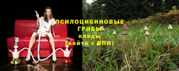 ешки Горнозаводск