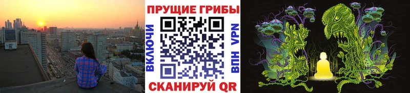 Псилоцибиновые грибы прущие грибы  Купить  Брюховецкая 