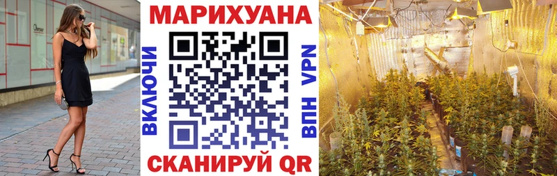 Купить где  Брюховецкая  Конопля Amnesia 